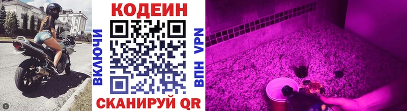 Codein напиток Lean (лин)  Гай 