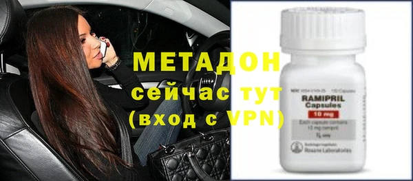 стаф Богданович