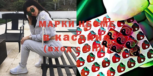 стаф Богданович