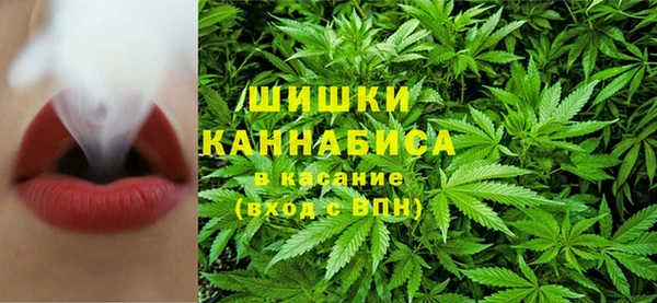 стаф Богданович