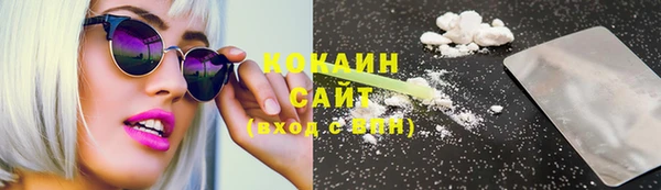 стаф Богданович
