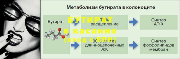 стаф Богданович