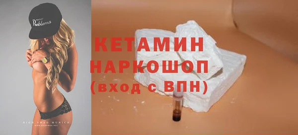 стаф Богданович
