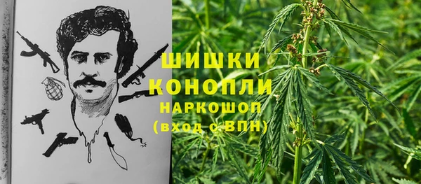 МДПВ Богородск