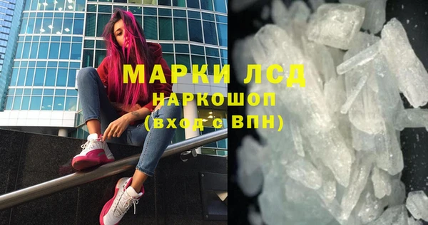 стаф Богданович