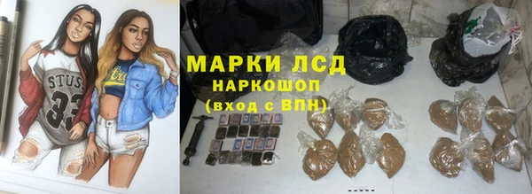 стаф Богданович