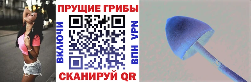 Галлюциногенные грибы мухоморы Гай