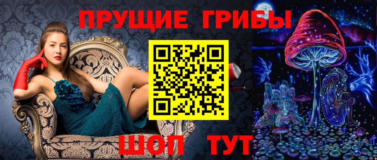 Галлюциногенные грибы ЛСД  Вход с VPN  Гай  Галлюциногенные грибы Psilocybe 